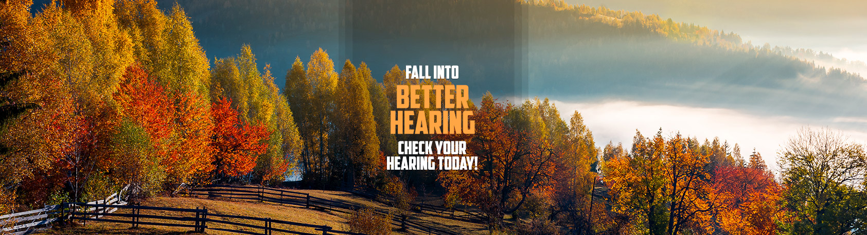 Fall Banner - Evolve Hearing Center